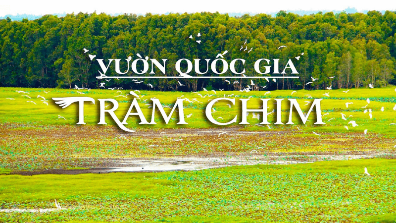 vườn quốc gia tràm chim  đồng tháp