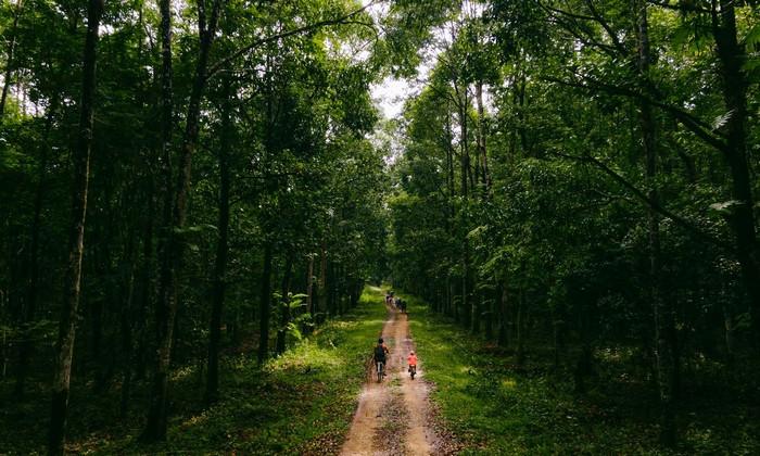 Du lịch miền Nam tháng mấy, tour miền Nam, tour trong nước