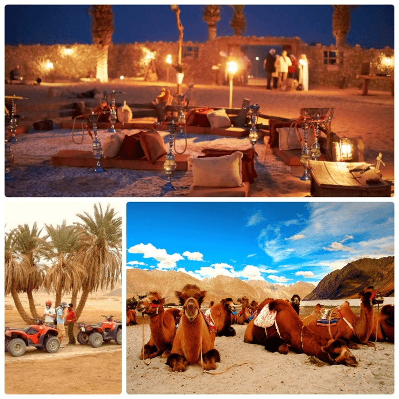 sa mạc safari dubai