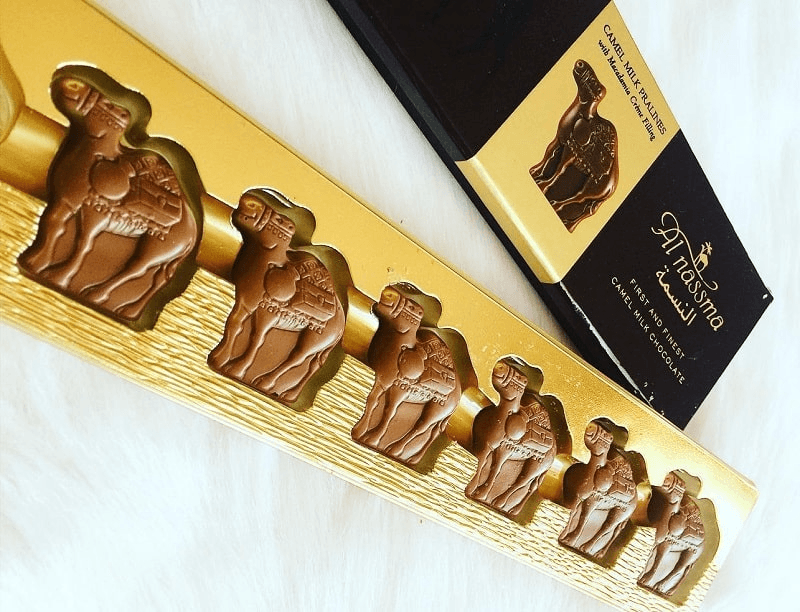 socola sữa lạc đà dubai
