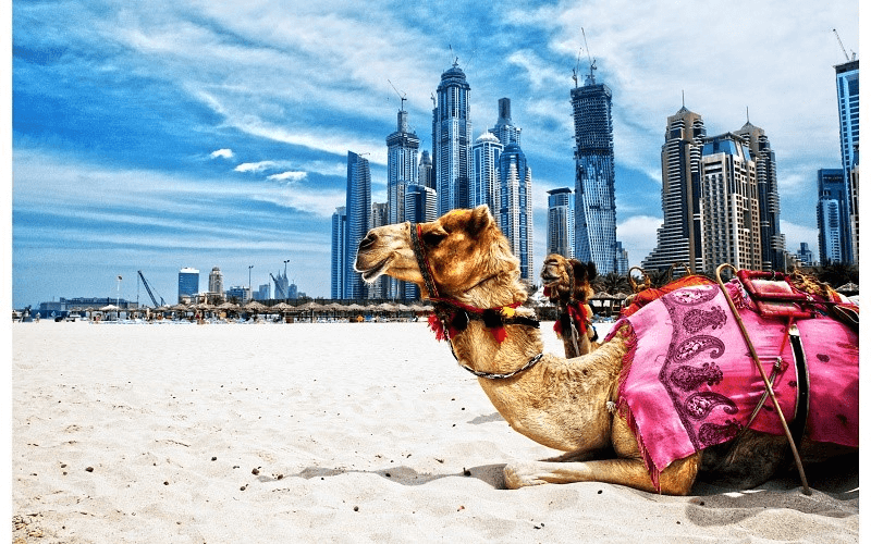 du lịch dubai