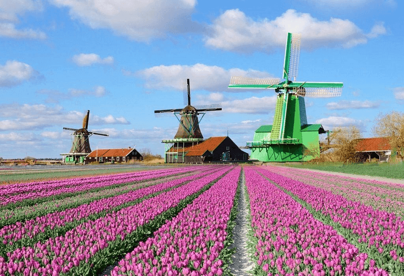 làng kinderdijk hà lan