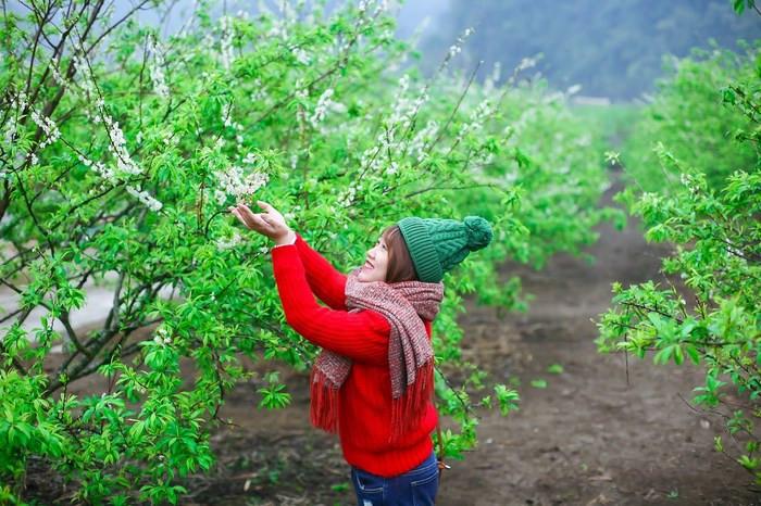 tour du lịch Mộc Châu, tour trong nước