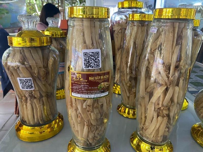 Mua sá sùng khi đi du lịch ở Trà Cổ 