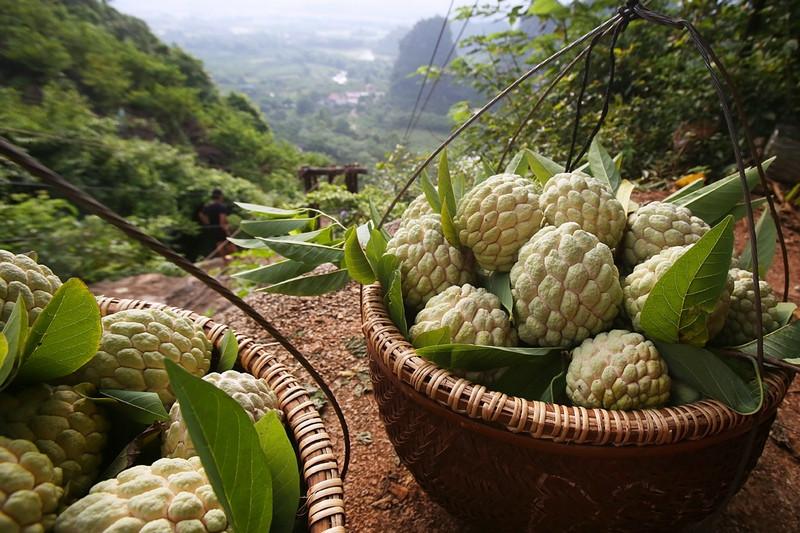 na Lạng Sơn