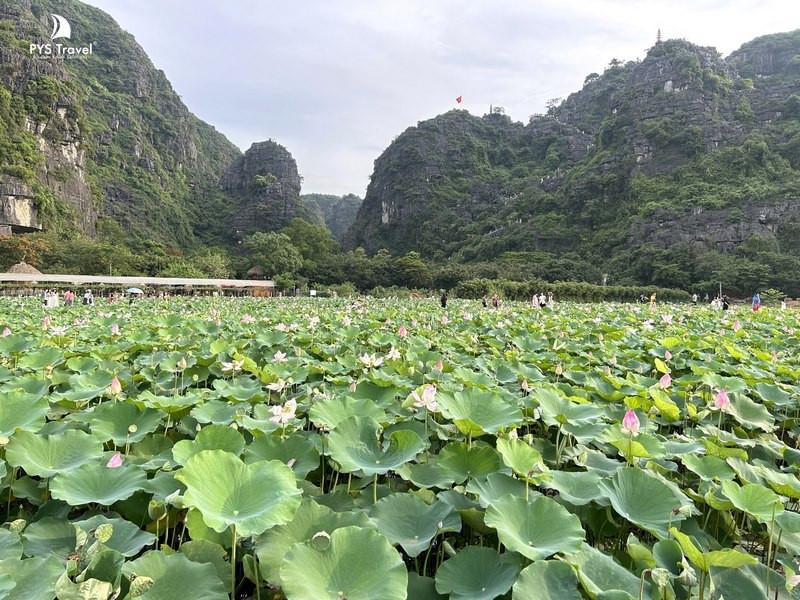 Ninh Bình mùa thu