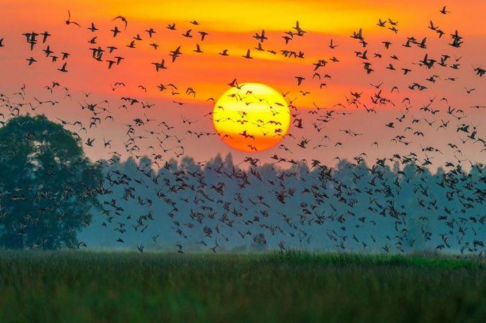 Vườn quốc gia Xuân Thủy, tour du lịch Nam Định, tour Nam Định