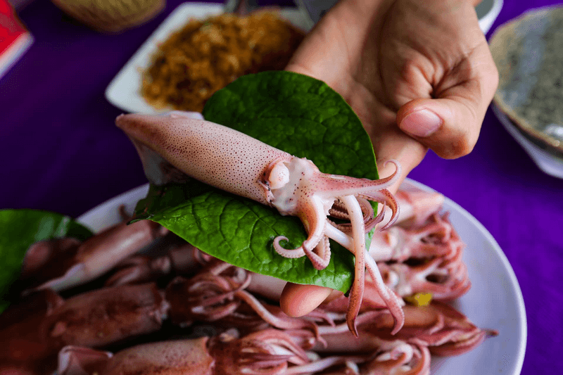 mực nhảy hà tĩnh