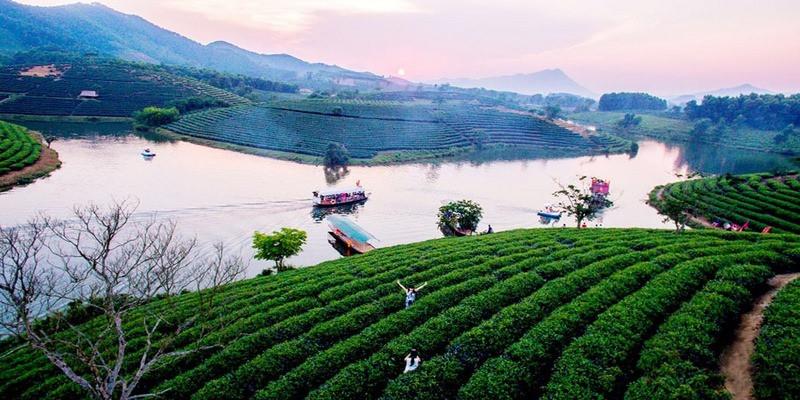 Đồi chè Thanh Chương