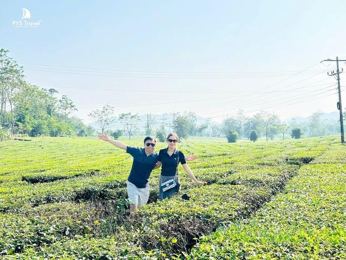 Tour Tà Xùa 2 ngày 1 đêm từ Hà Nội