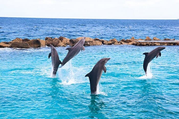Tour Ai Cập 30/4, tour qatar 30/4 từ Hà Nội, tour ai cập qatar 11 ngày 10 đêm