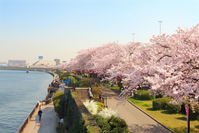 Tham quan Công viên Sumida Tokyo 