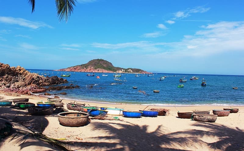 bãi xếp quy nhơn