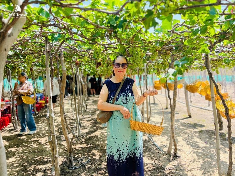 Check in vườn nho Ninh Thuận