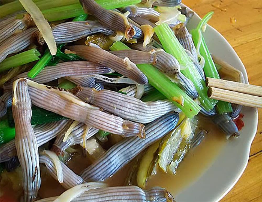 món sá sùng