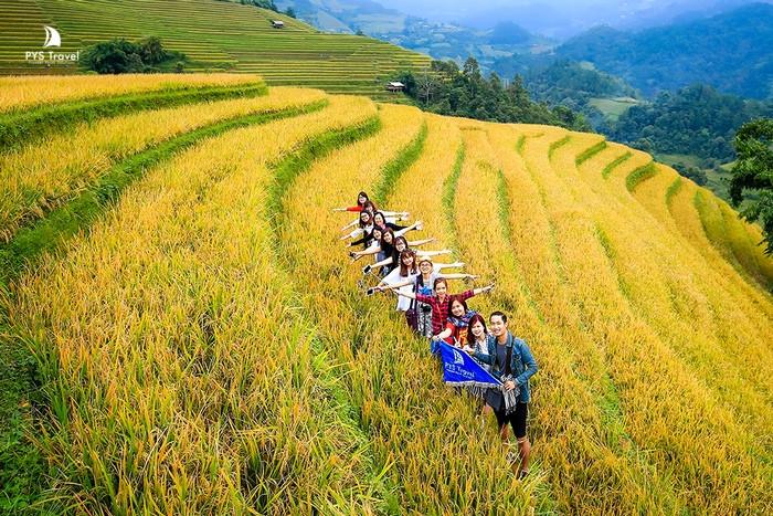 Du lịch Mù Cang Chải theo tour trọn gói của PYS Travel