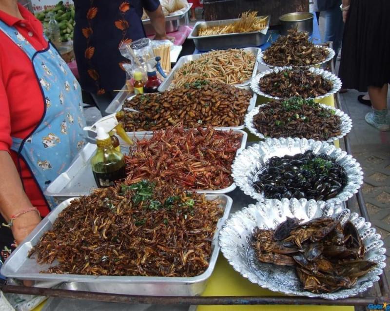chợ côn trùng ở phnom penh