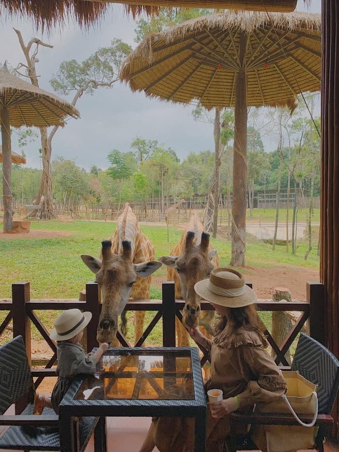 Du lịch Vinpearl Safari Phú Quốc cùng gia đình