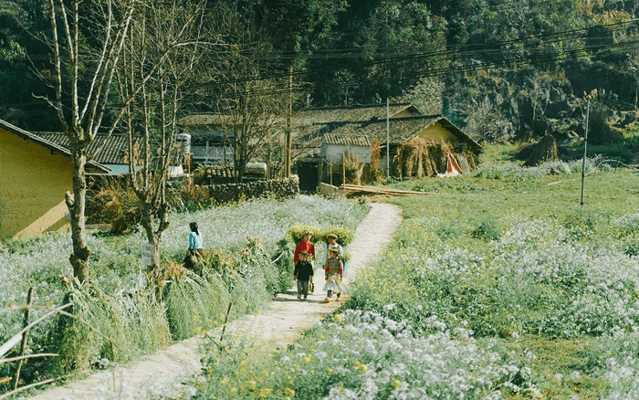 du lịch hà giang
