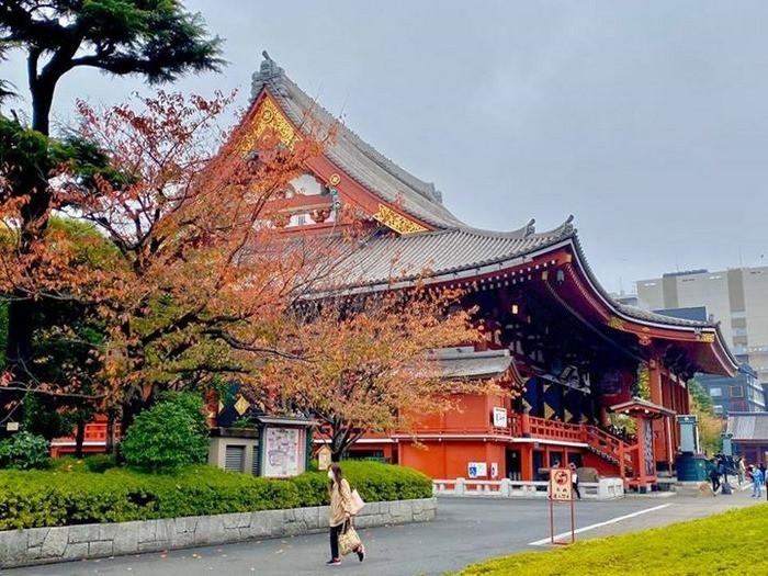 chùa asakusa mùa thu