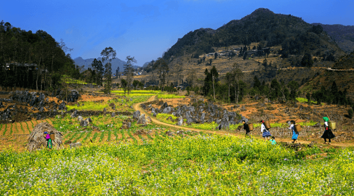 Phố Cáo hà giang