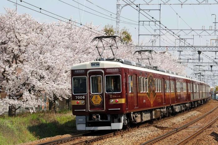 tàu di chuyển giữa osaka và kyoto