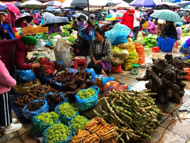 Chợ phiên Bắc Hà