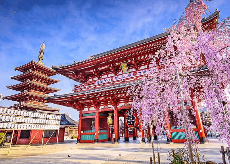 chùa sensoji tokyo 