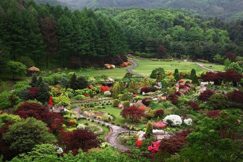  Chiêm ngưỡng vẻ đẹp của The Garden of Morning Calm nami