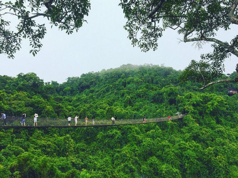 Công viên Rừng nhiệt đới Thiên Đường Vịnh Á Long rope bridge