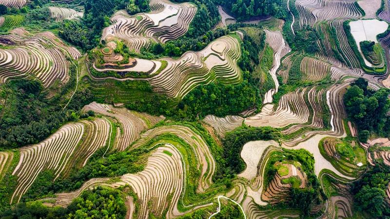 ruộng bậc thang long tích quế lâm