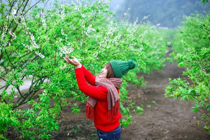 Tour du xuân Bắc Hà - Đền Bảo Hà - Hoàng Su Phì 4 ngày 4 đêm từ TP.HCM