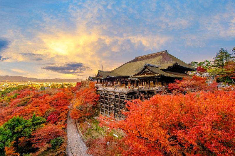 Tour Nhật Bản: Osaka - Kyoto - Nagoya - Phú Sĩ - Tokyo 5 ngày 5 đêm từ TP.HCM