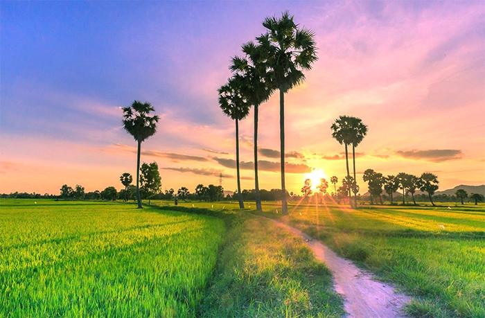 Tour Tứ Tỉnh Miền Tây 3 ngày 2 đêm từ TP.HCM