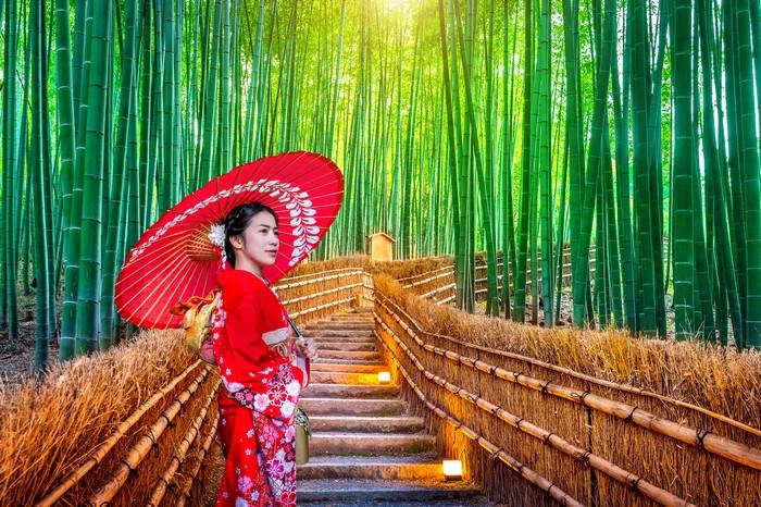 Tour Nhật Bản: Tokyo - Núi Phú Sĩ - Nagoya - Kyoto - Osaka 6 ngày 5 đêm từ TP.HCM - Nghỉ lễ 30/4 - 1/5