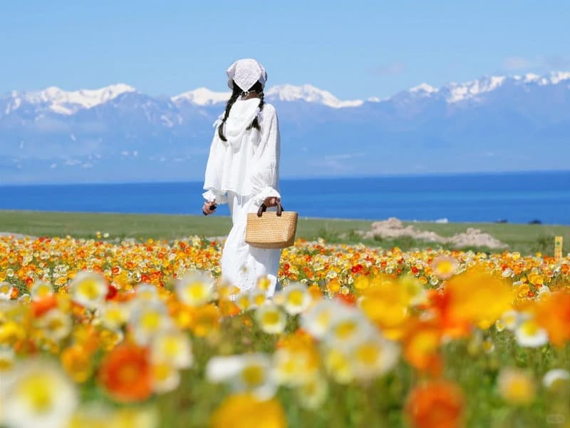 Tour Trung Quốc Tân Cương: Urumqi - Kanas - Làng Hemu - Karamay - Yning 8 ngày 7 đêm từ Hà Nội