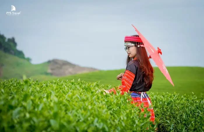 Theo báo ANTV: Kỳ nghỉ lễ 30/4 - 1/5 vừa qua Hà Nội, Đà Nẵng, Mộc Châu đồng loạt hút khách