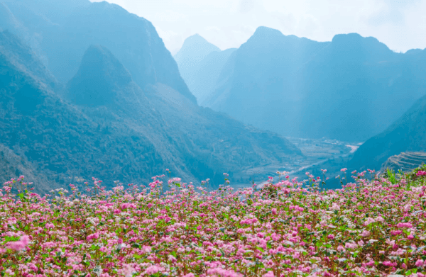 Trip Radio: Khi ta ở chỉ là nơi đất ở