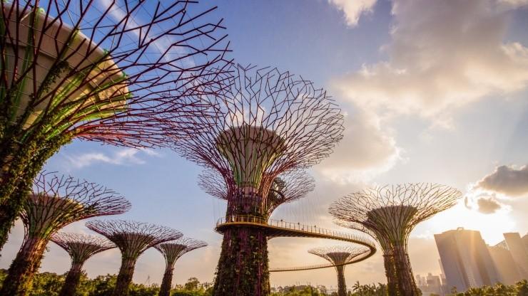 gardens by the bay