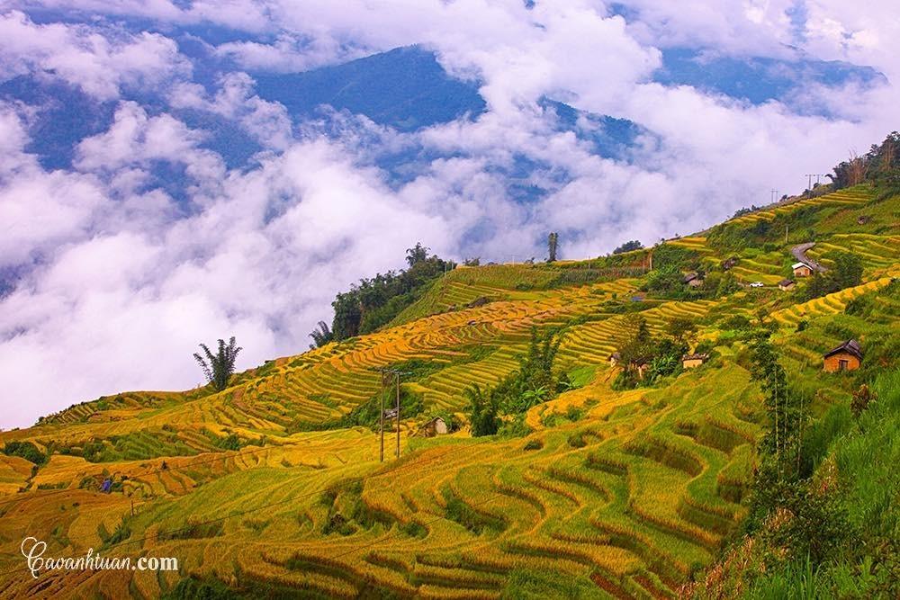 Tour Y Tý 2 ngày 1 đêm từ Hà Nội: Vùng đất mây trời