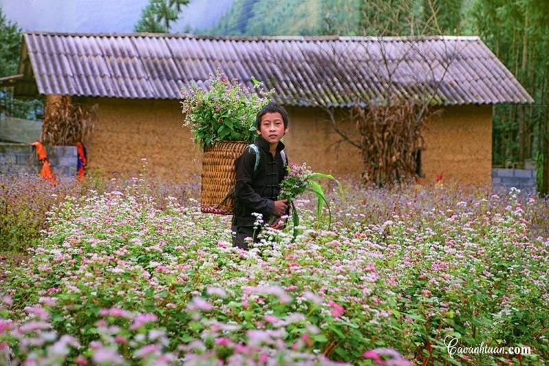 Tour Hà Giang 2024 làng văn hóa lũng cẩm